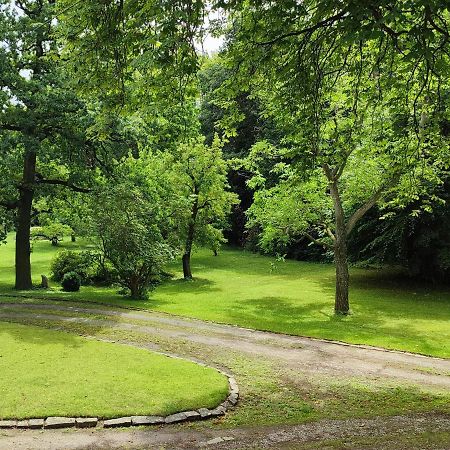 Ferienwohnung Goslar Mit Parkblick Am Harz Exterior foto
