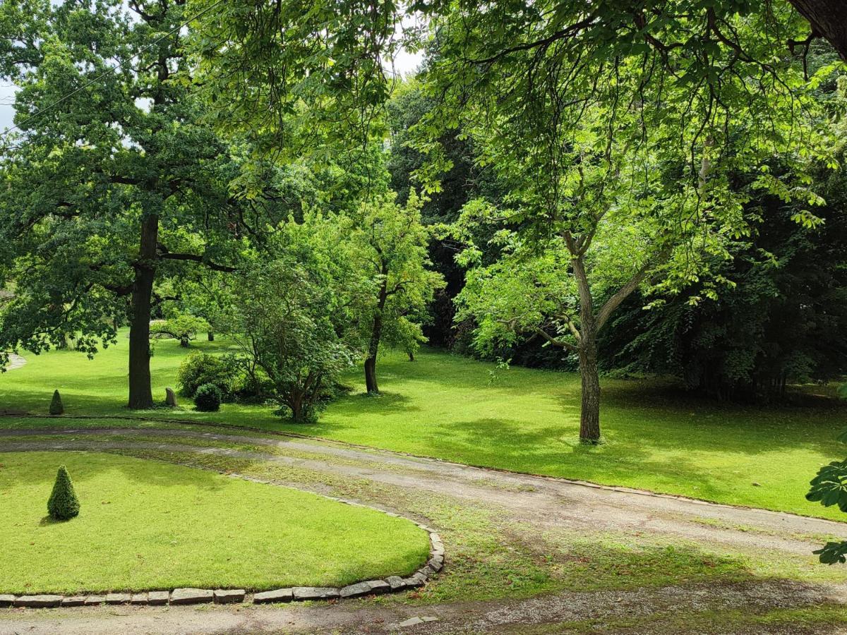 Ferienwohnung Goslar Mit Parkblick Am Harz Exterior foto